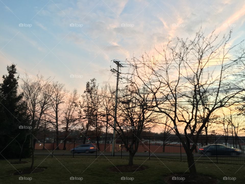 Tree, Landscape, Dawn, Weather, Park