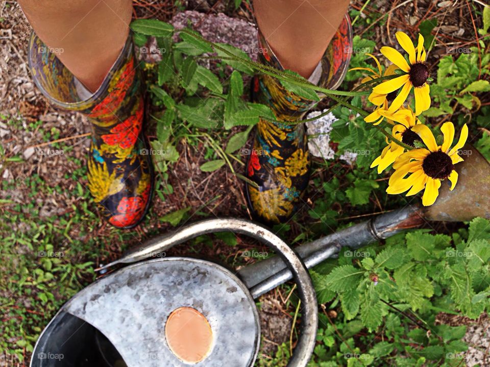 Colorful Spring rain boots in the garden.