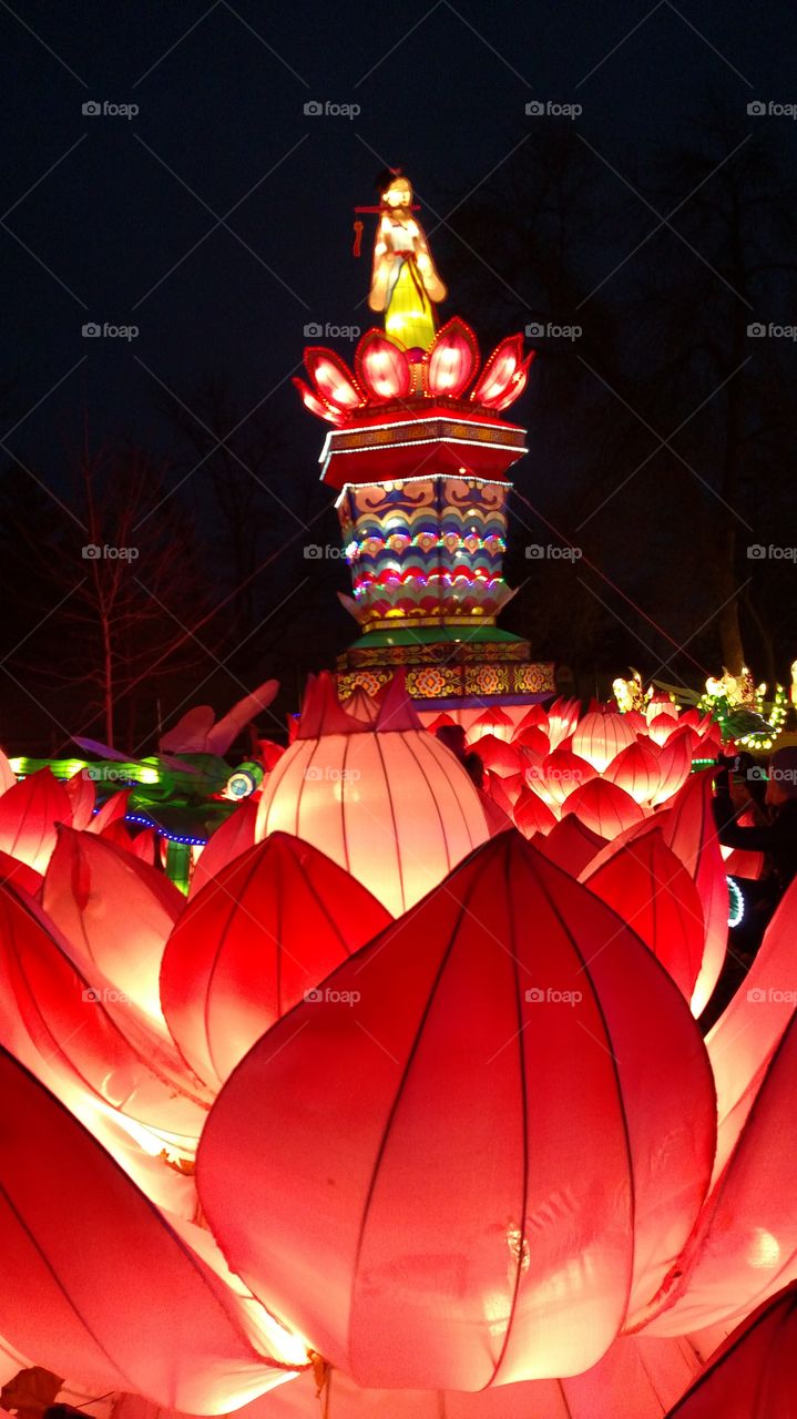 homage to the emperor red satin poppies Chinese Lantern Festival