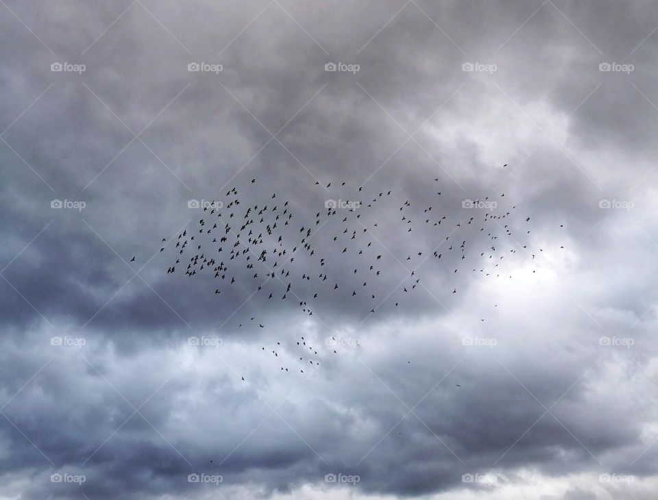 Dance with the clouds