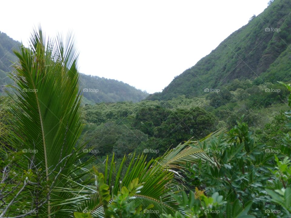 Maui, HI