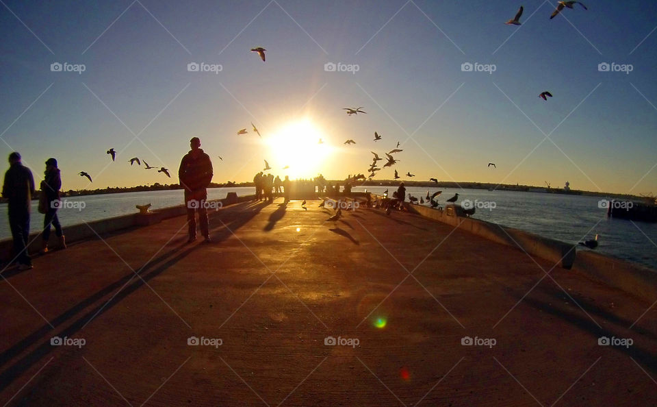 Sunset at the port