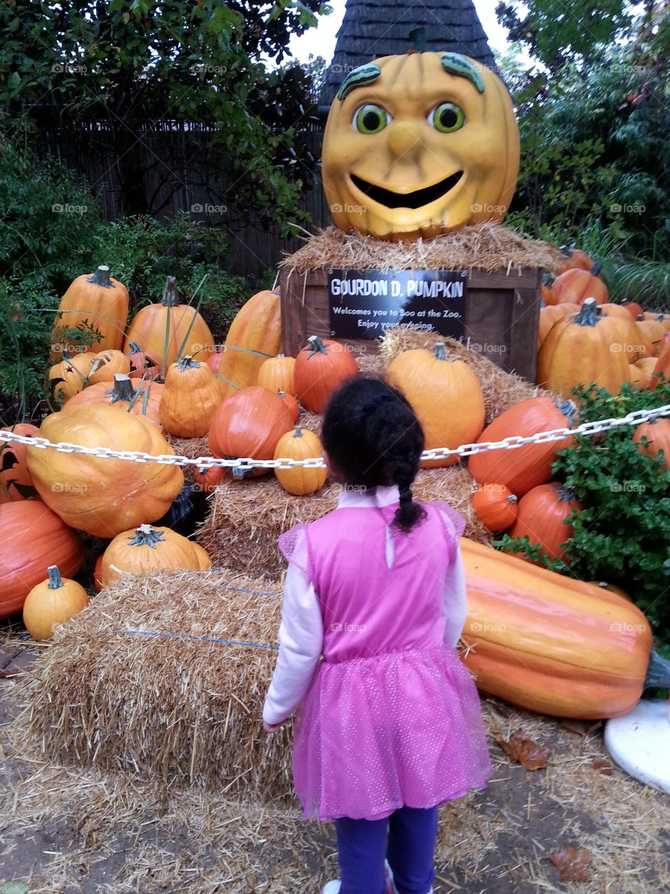 Talking Pumpkin seeds