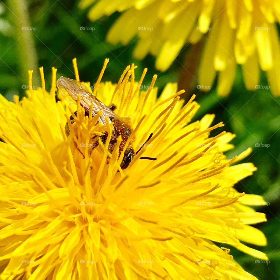 Captured with iPhone 6s Plus 