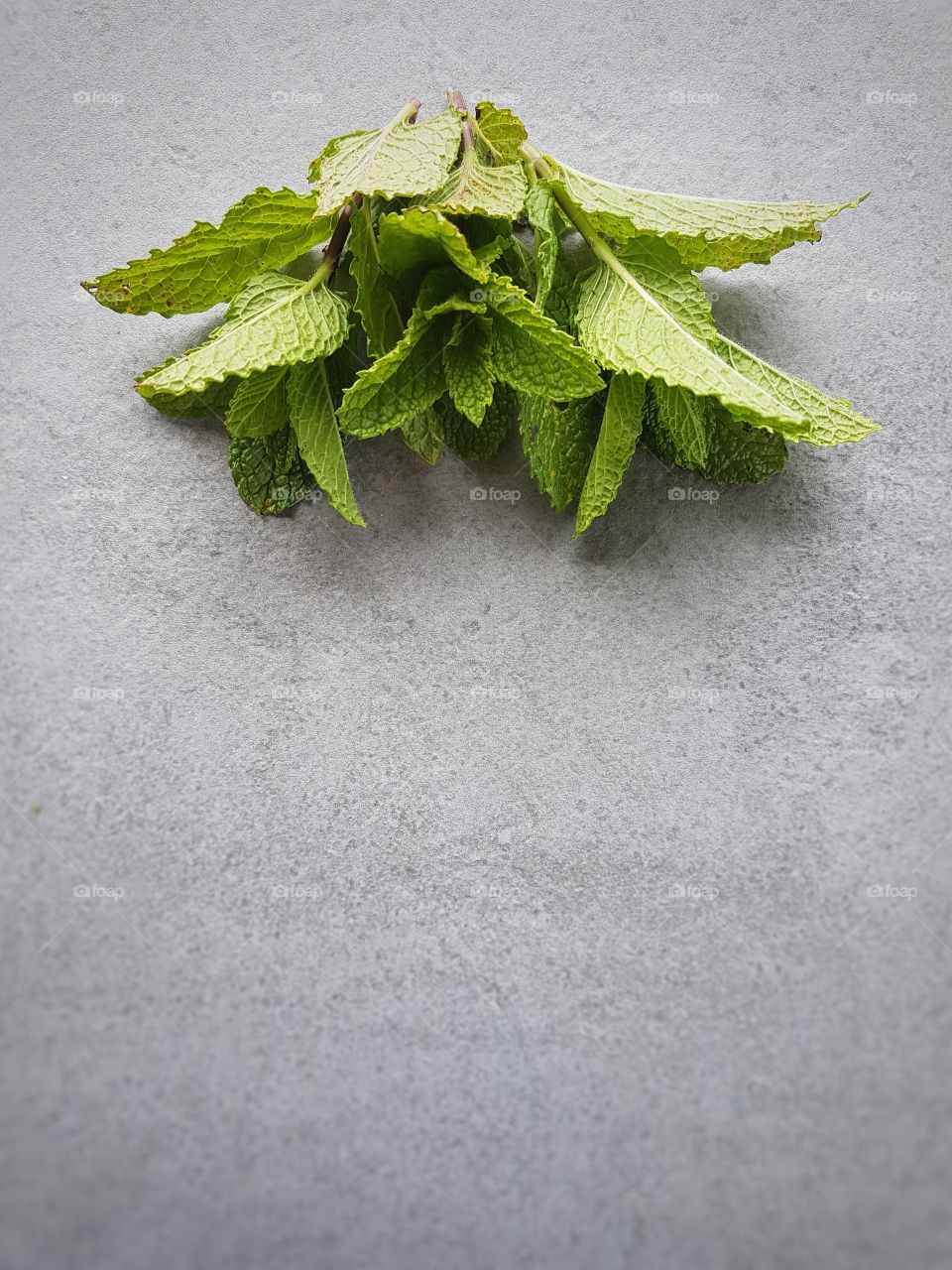 Fresh Mint leaves on background