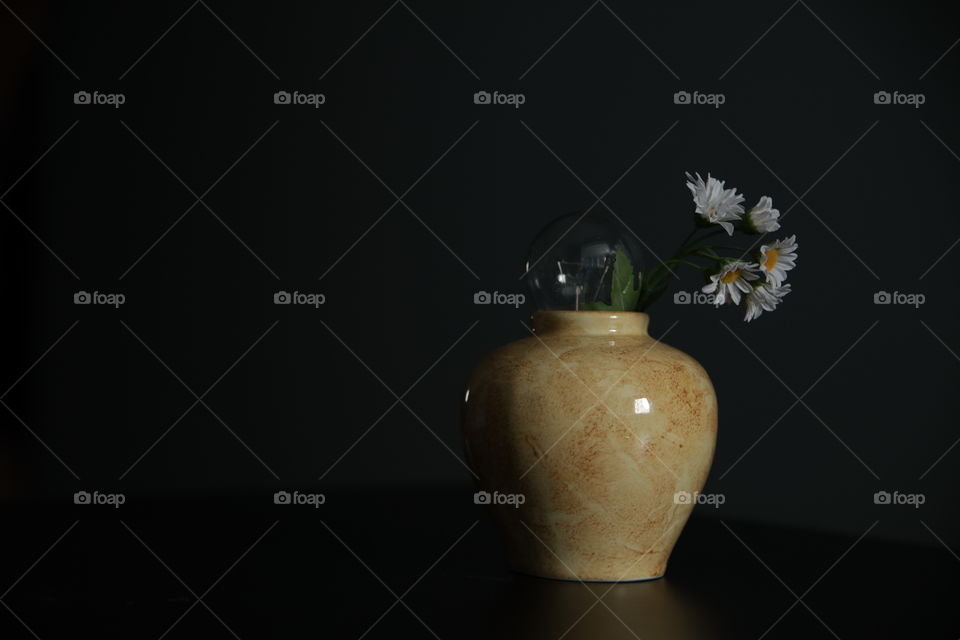still life, vase, lamp, flower