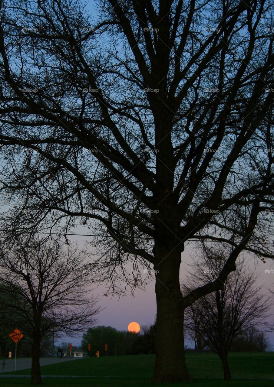 Moon Rising