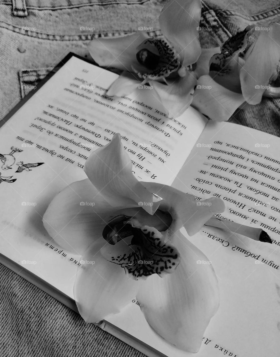 the beauty of flowers and a book in black and white