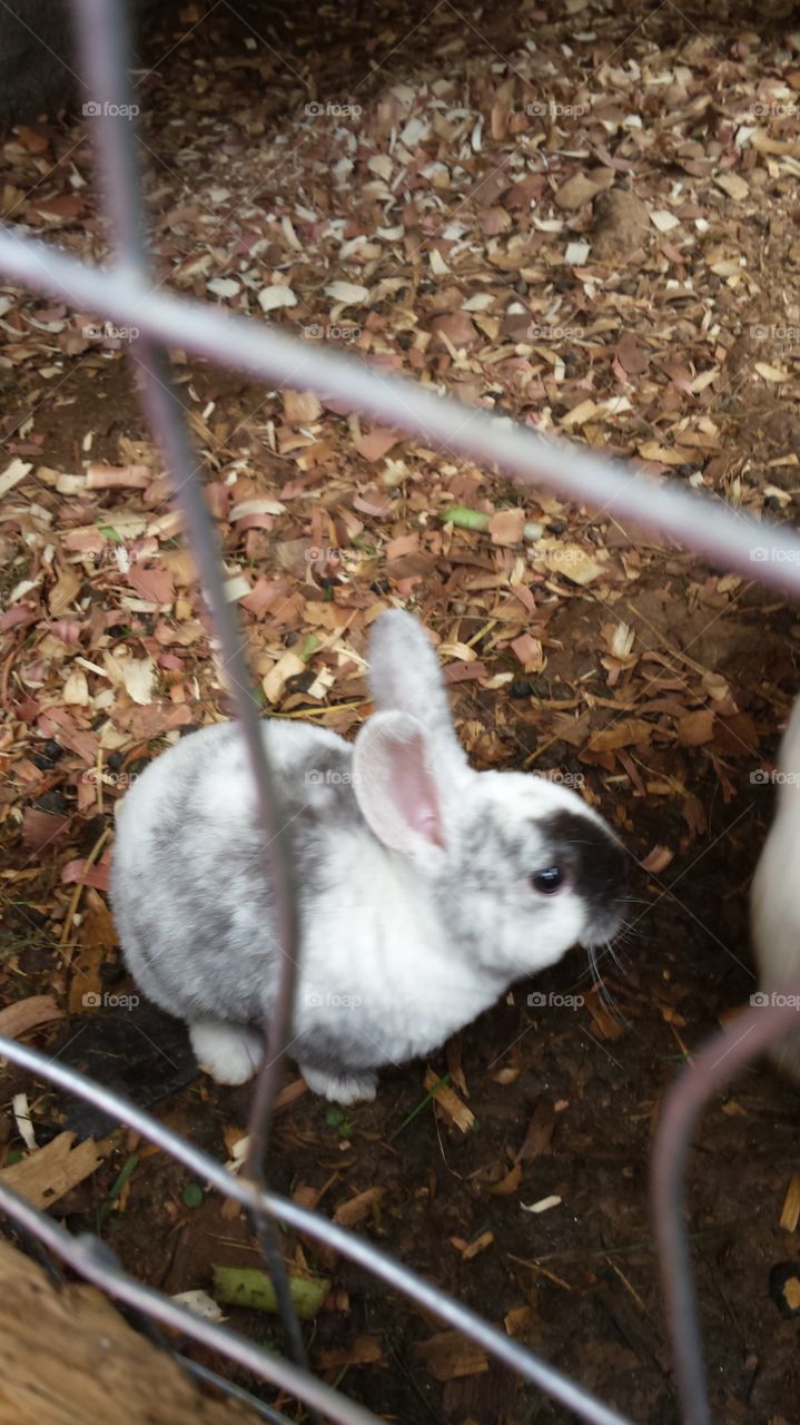 so sweet soft and cuddly