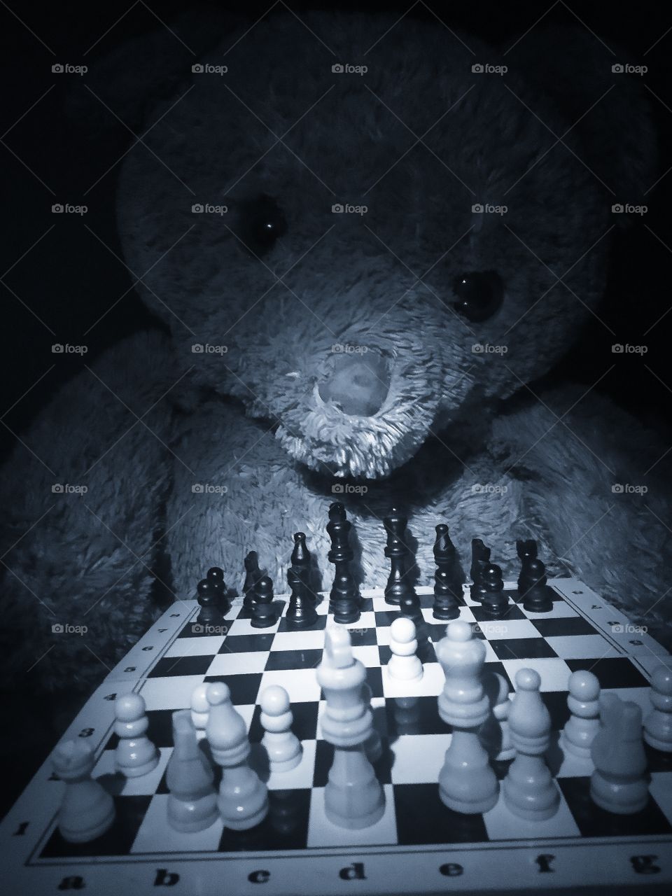 Old teddy bear and board with chess pieces
