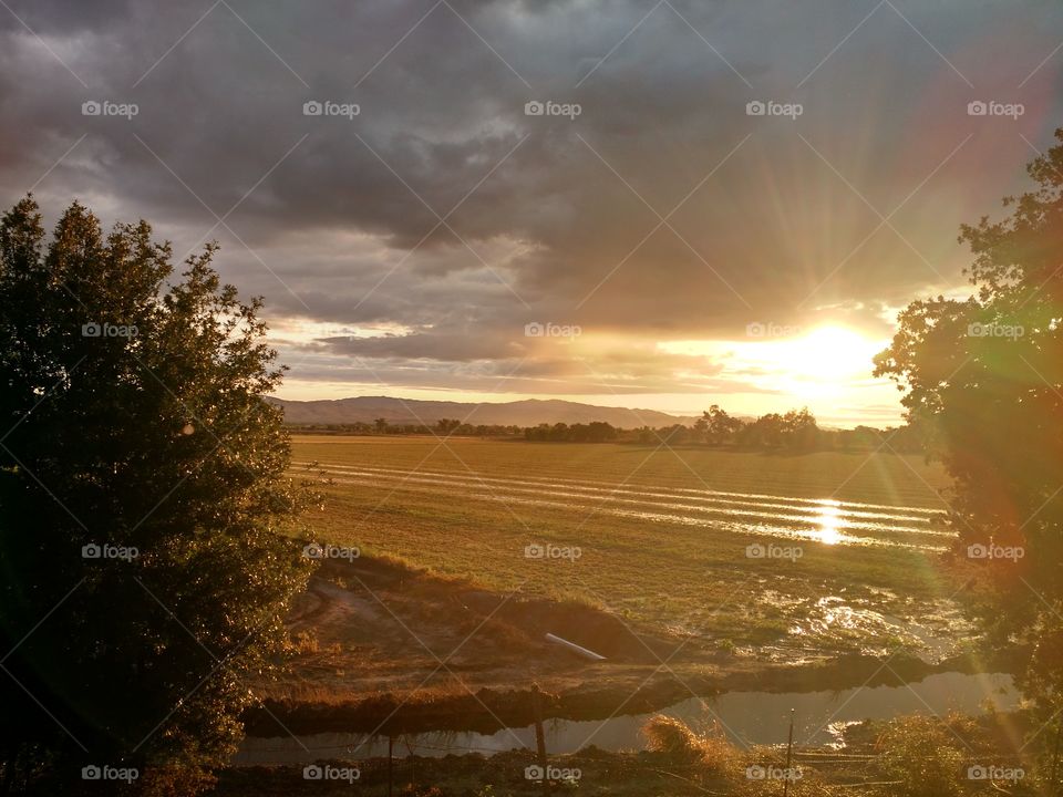 farmland sunset