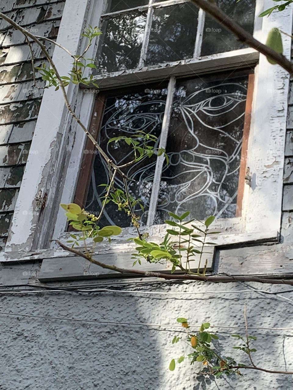 Interesting window I saw with some art put on it. This was on an abandoned building. 