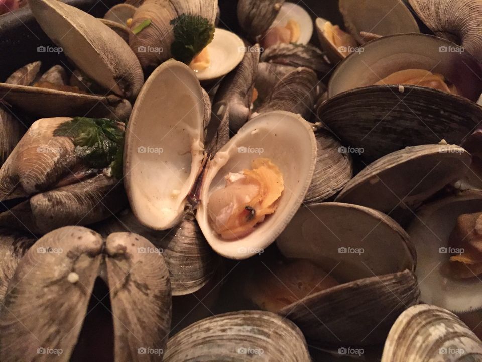 Clams opening up