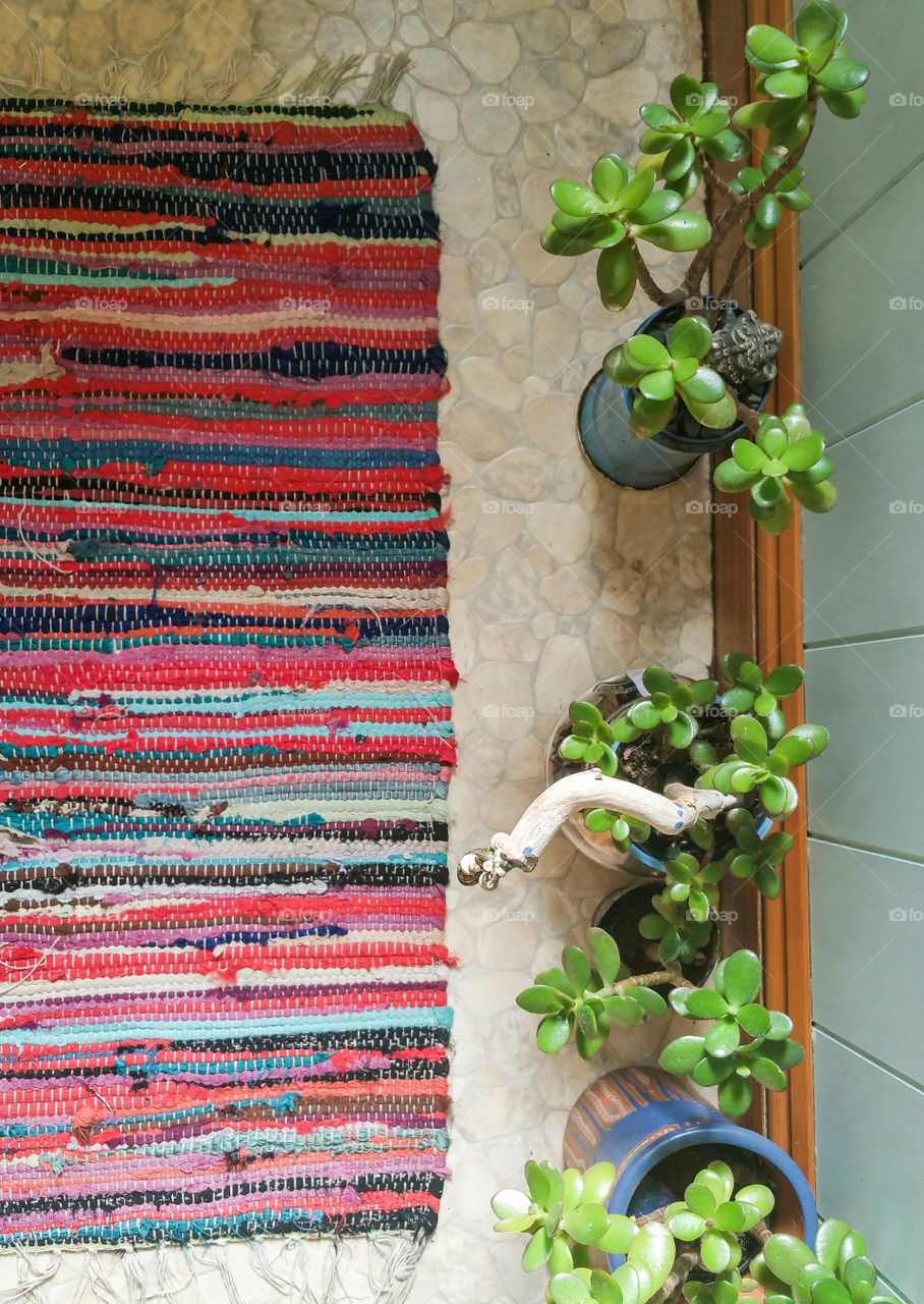 Flowerpots with crassula and  a rug