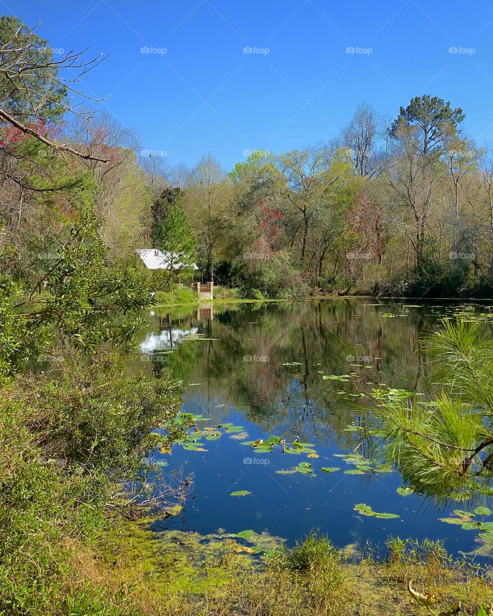 Lake Cabin Reflection