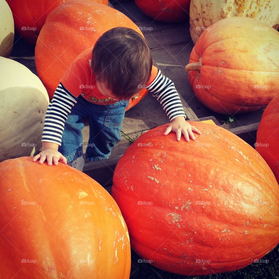 pumpkin patch kid
