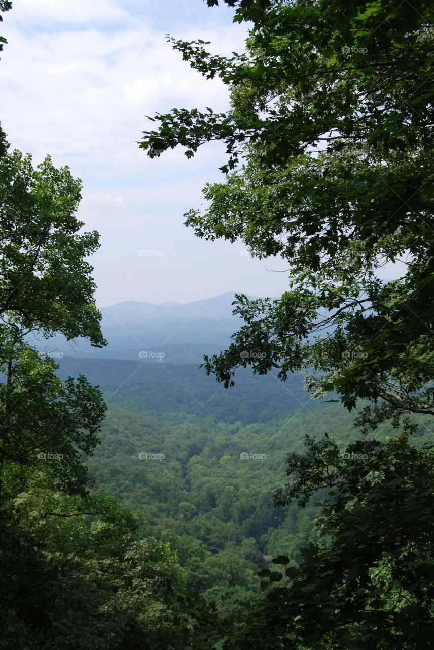 Mountain view of the forest