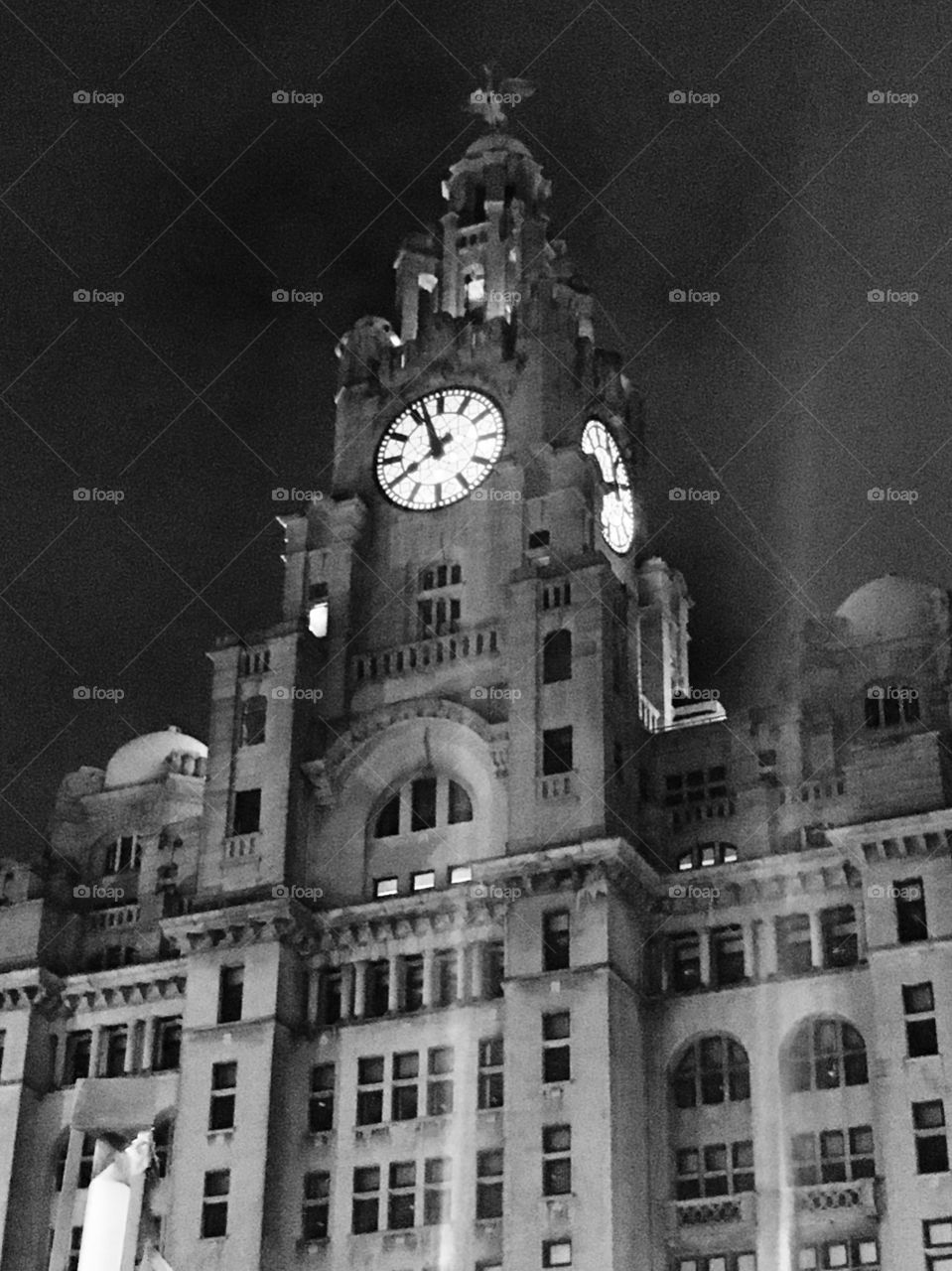 The Liver Buildings at night.