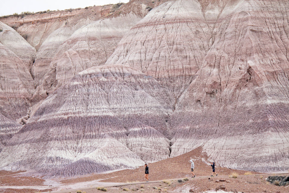 Painted desert