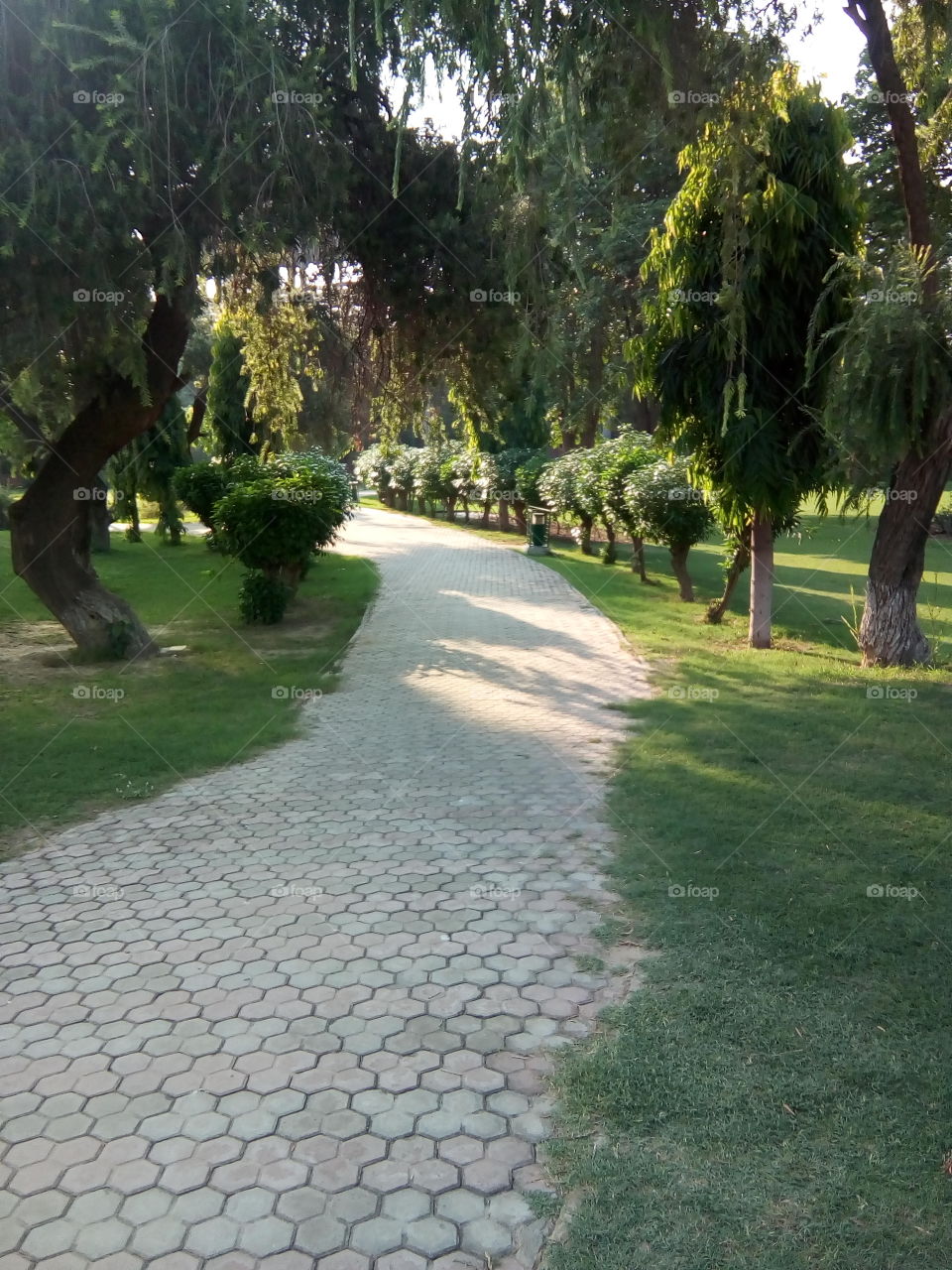 a beautiful sight in garden