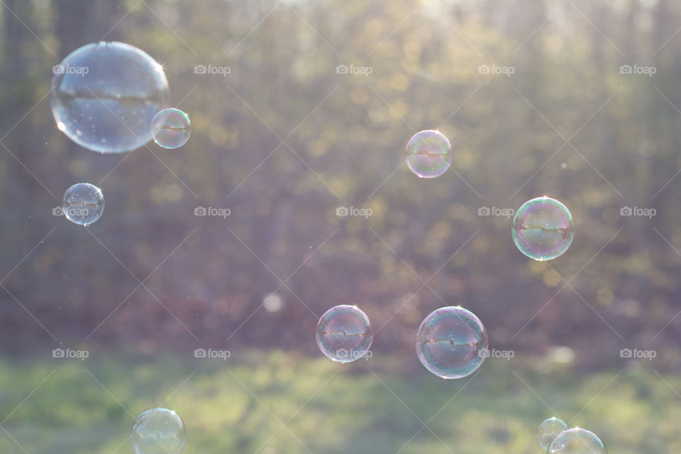 Bubbles floating against trees at sunset