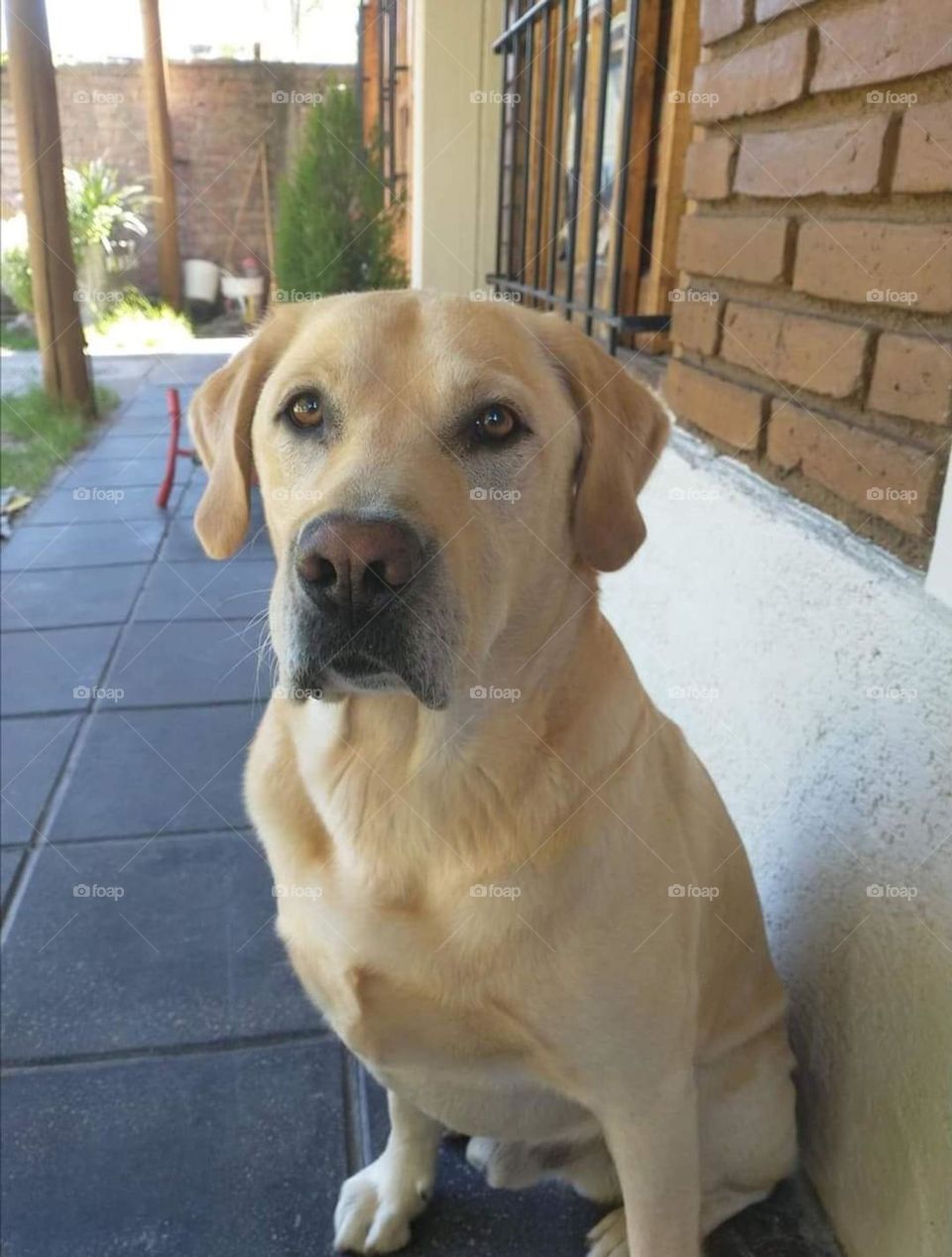 El gran Zeus muy concentrado!!!