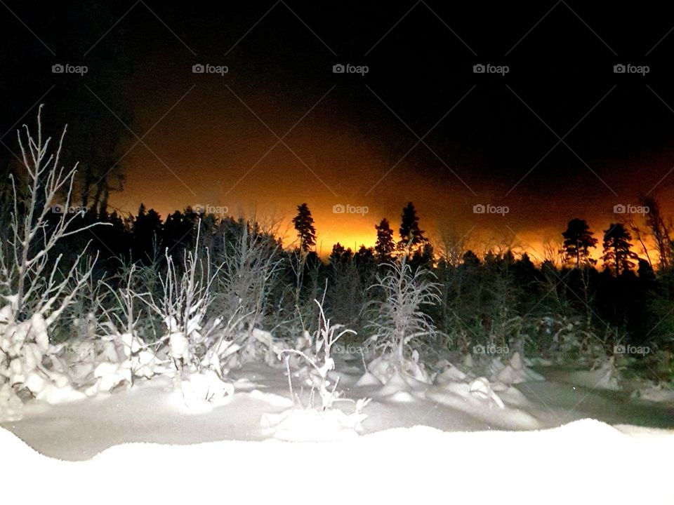 sunrise in a winter world