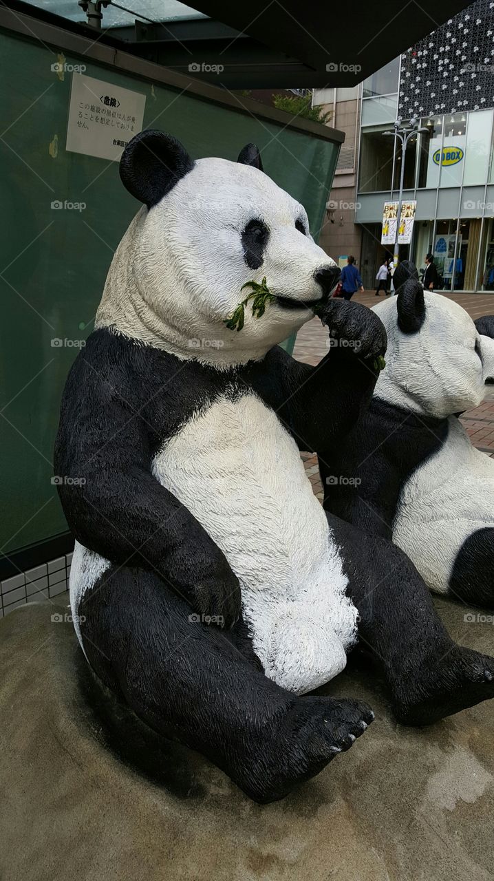 Realistic Panda Statue　JAPAN TOKYO UENO ZOO