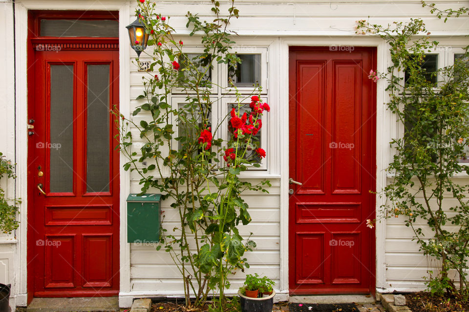 Red doors with roses. 