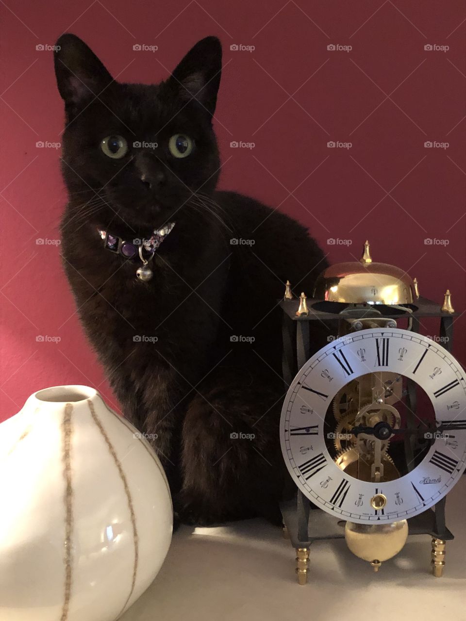 Cat and clock