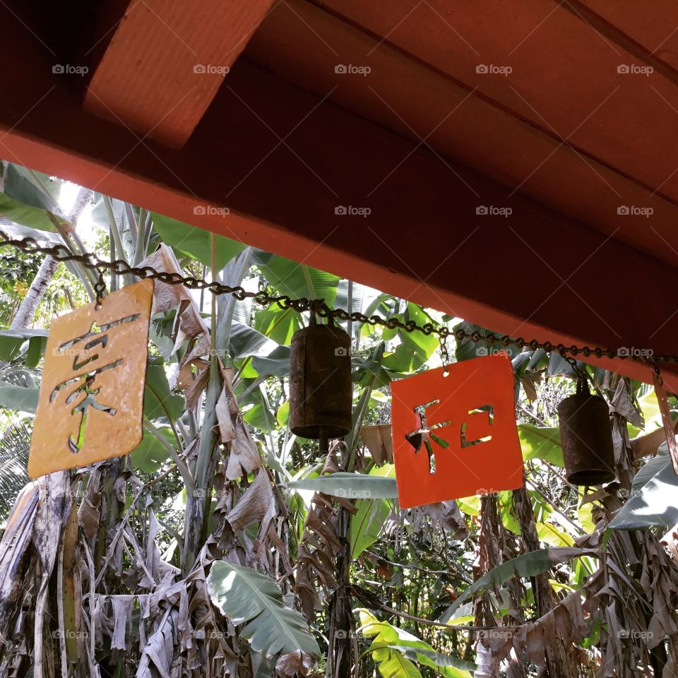 Decorative feature on our jungle porch