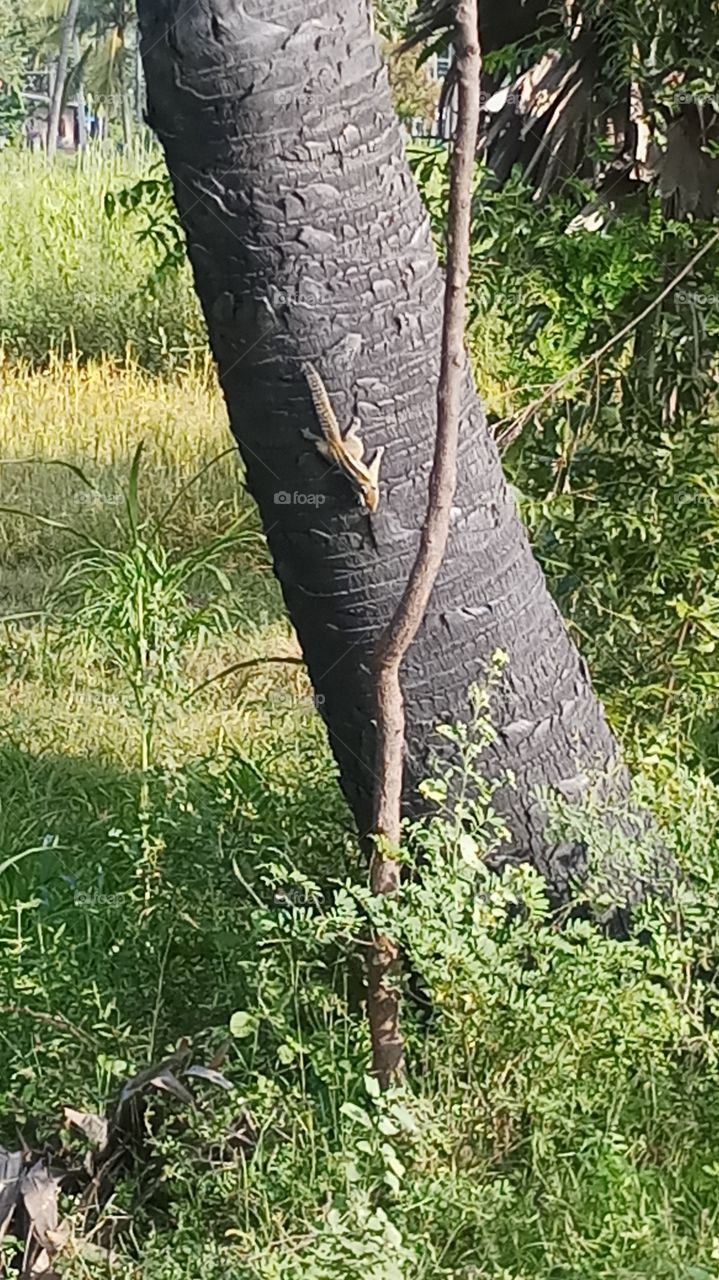 This is very very beautyfull clicks