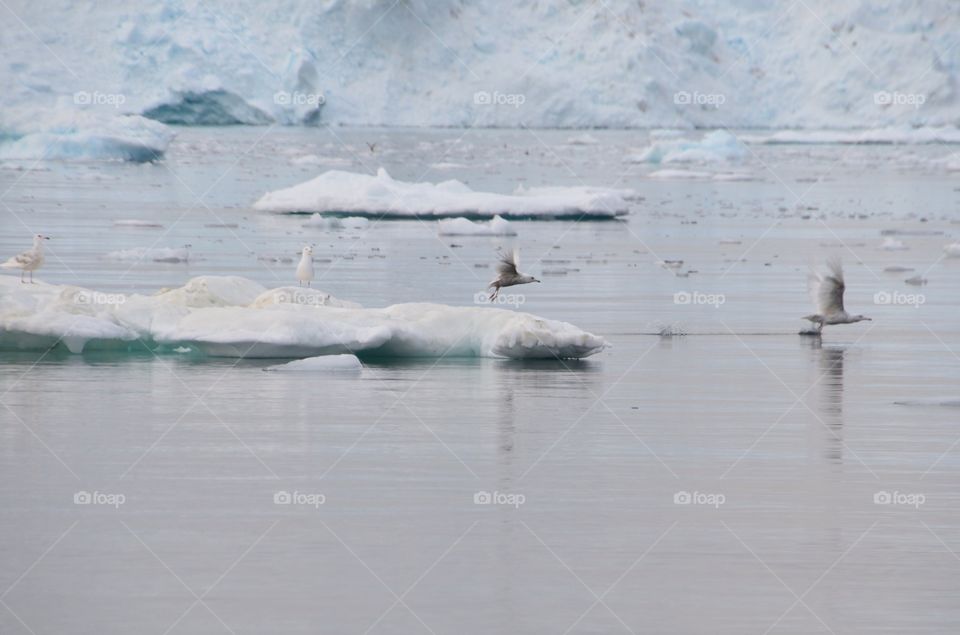 Greenland