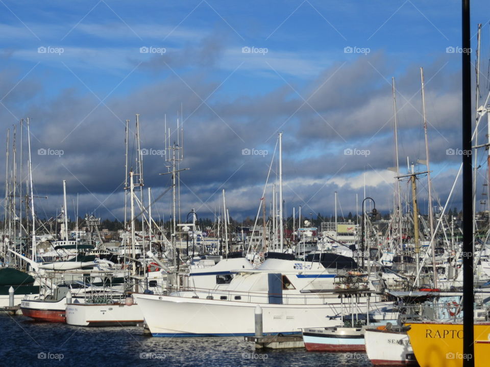 boats galore