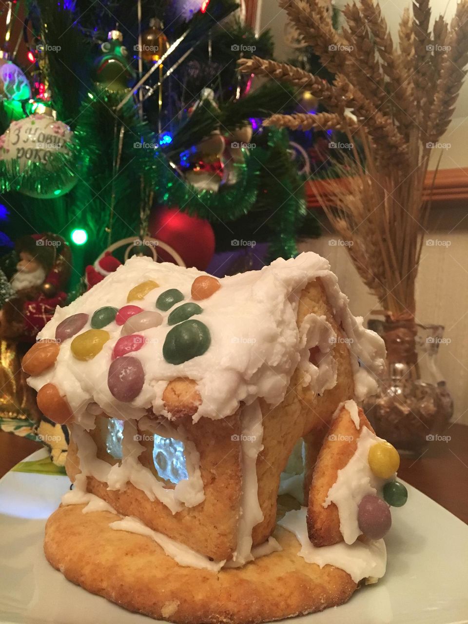 Gingerbread house 