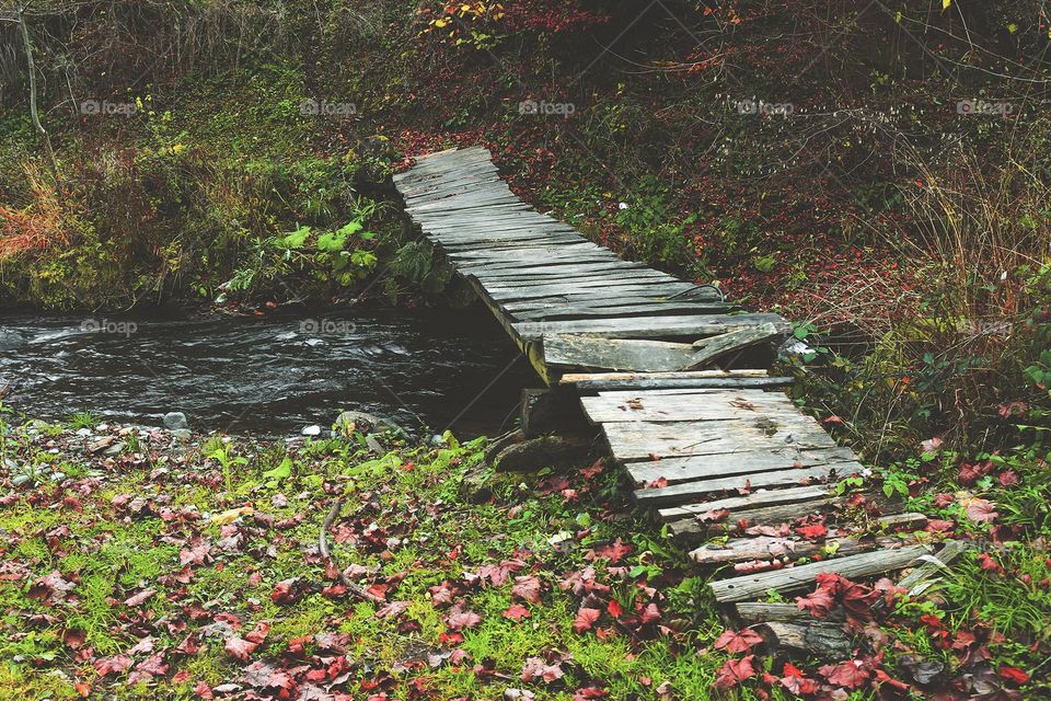 Small bridge and cold mountain creek