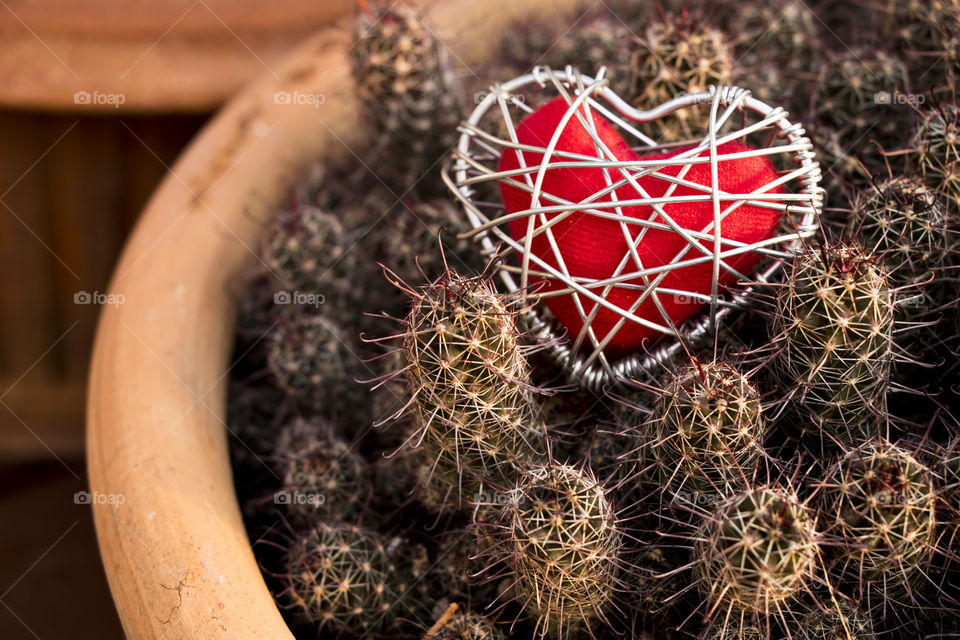 Heart and cactus on the balcony.