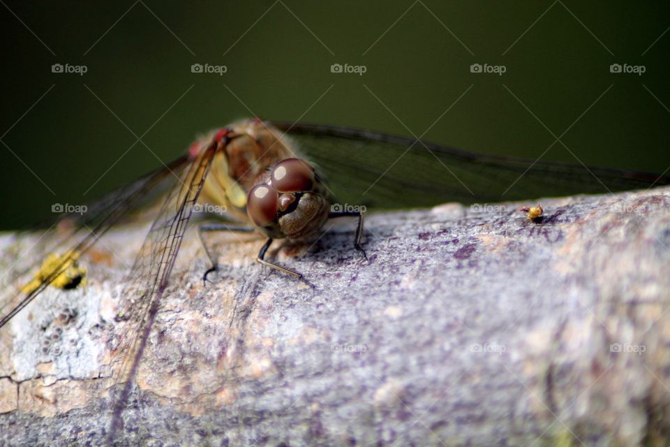 Smile for the camera! 