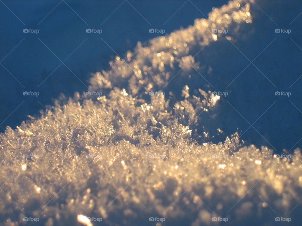 Snow crystals in the sunlight
