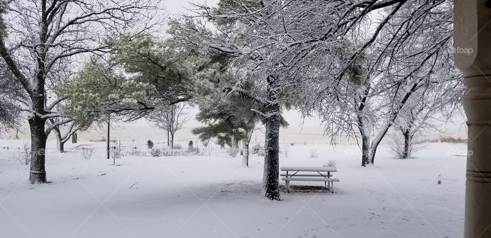 the front yard