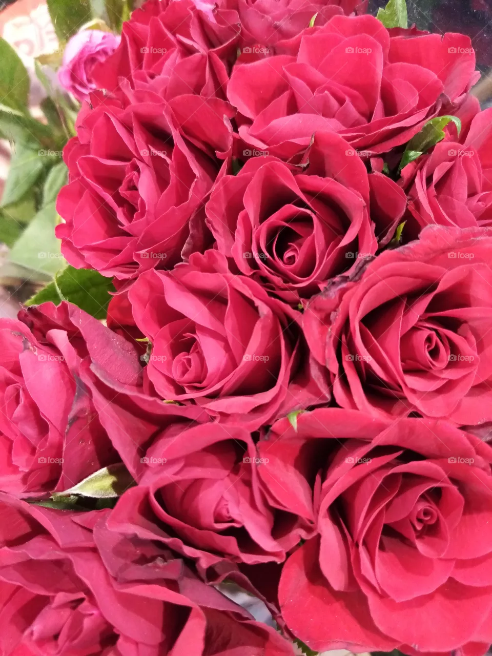Rosen
