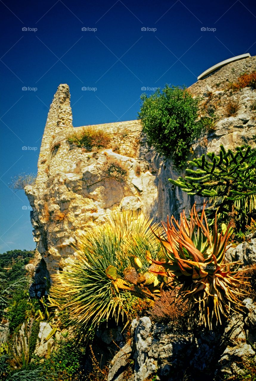 Eze. French Riviera 