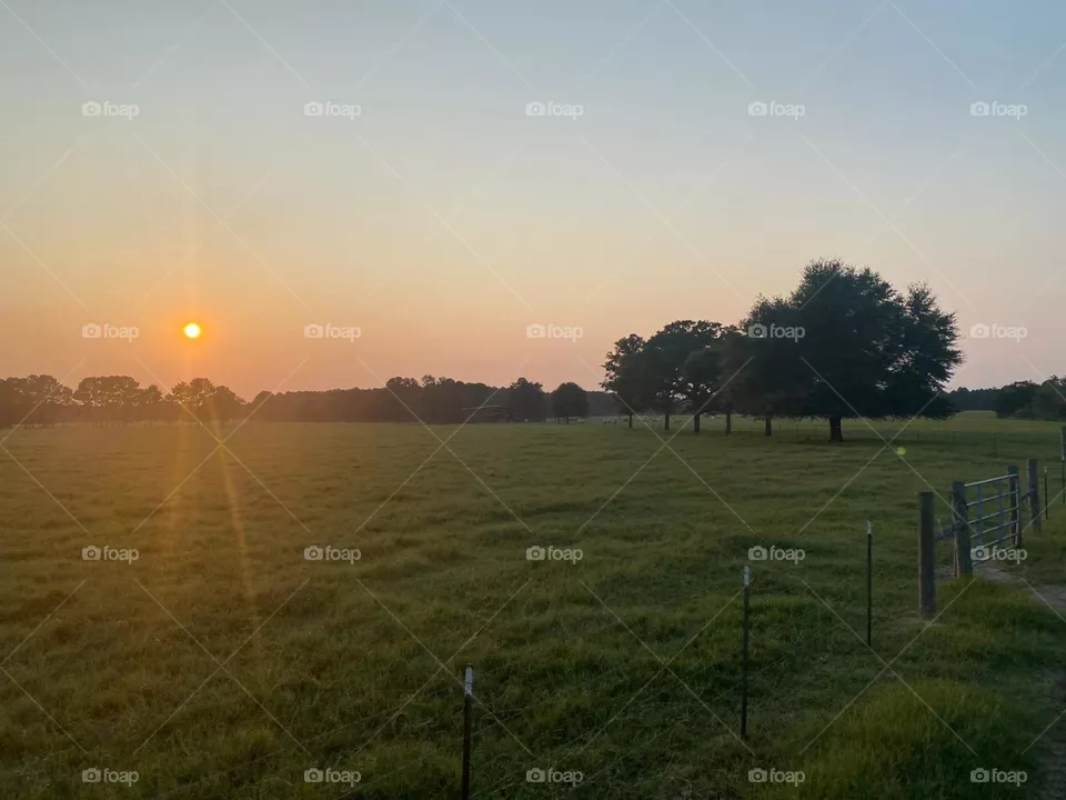 Farm
