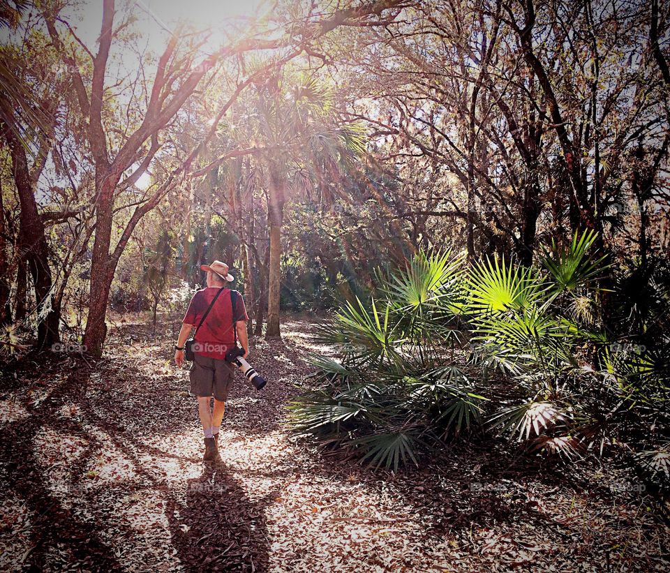 Photographer walking through the forest surrounded with rainbow sunlight .