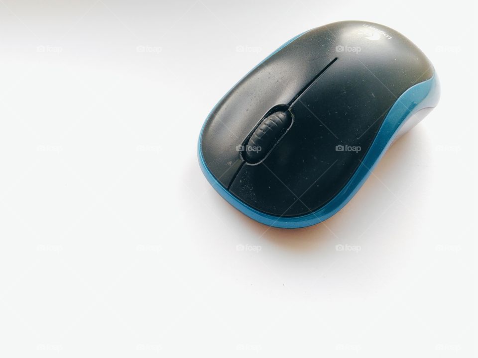 Computer mouse on a white background