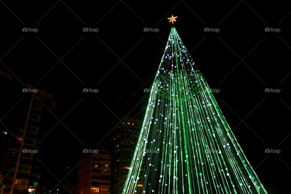 christmass tree