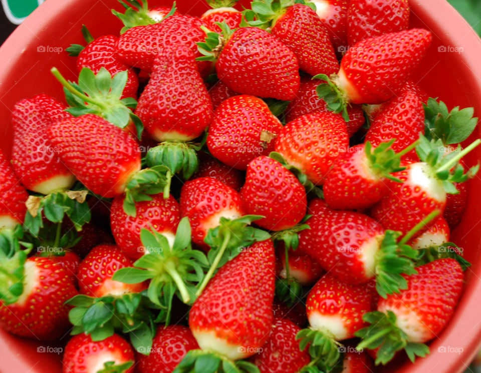 red sweet fruit strawberries by paullj
