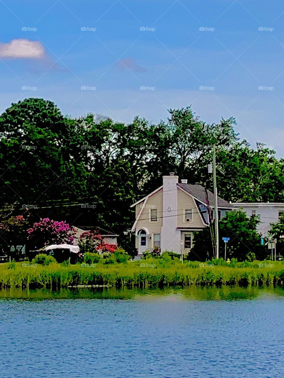 Home on the marsh