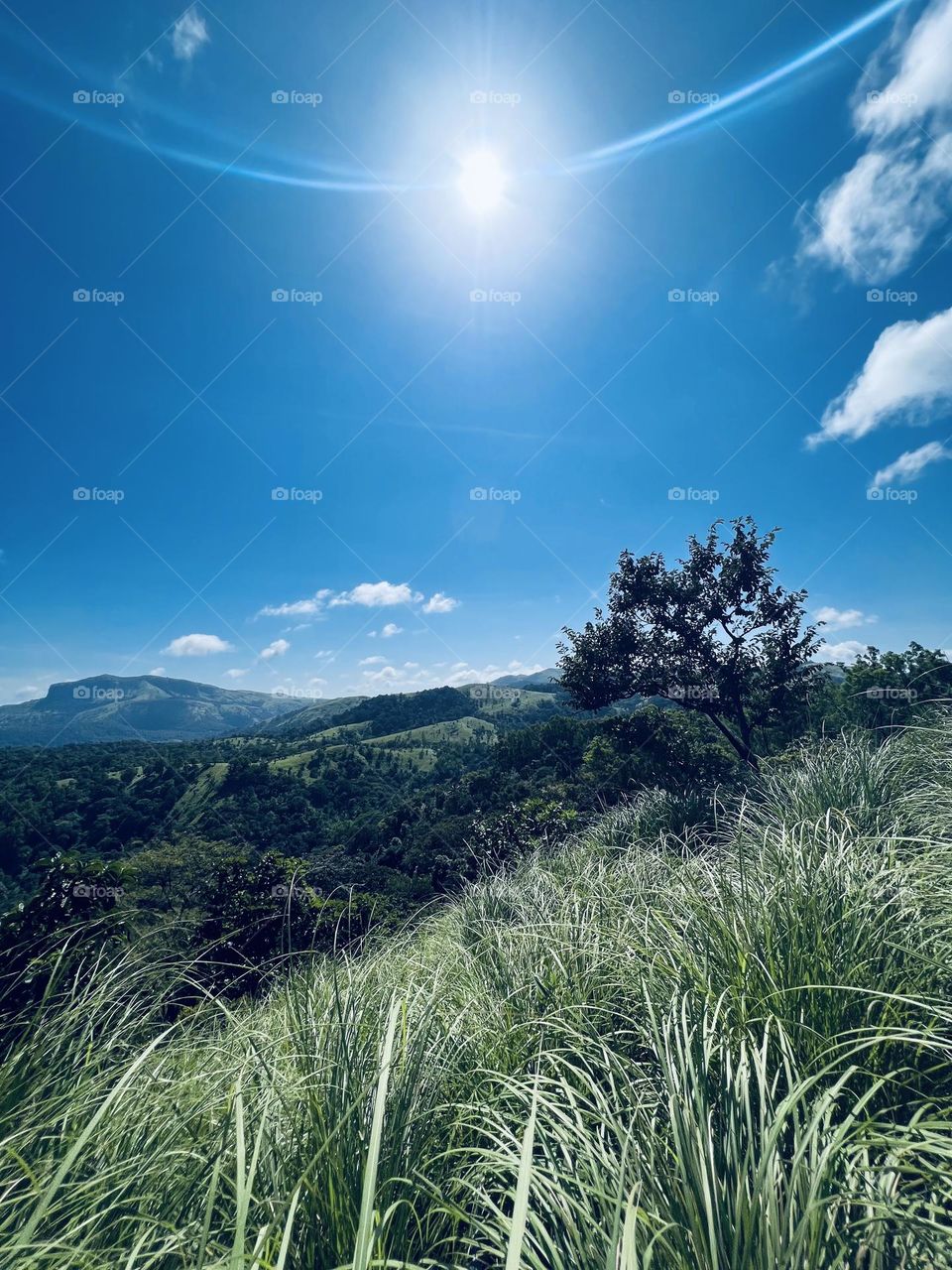 A beautiful hill top view 