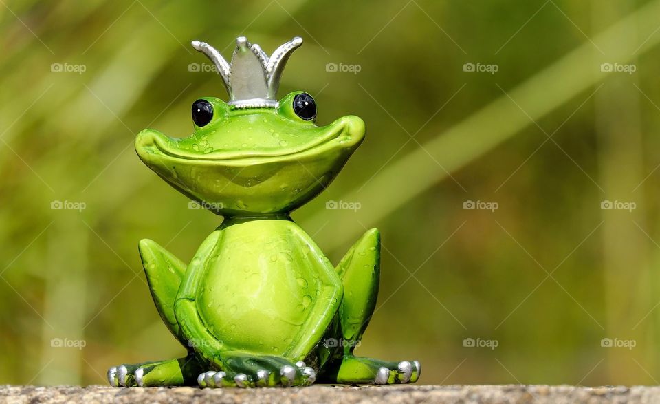 King of frog